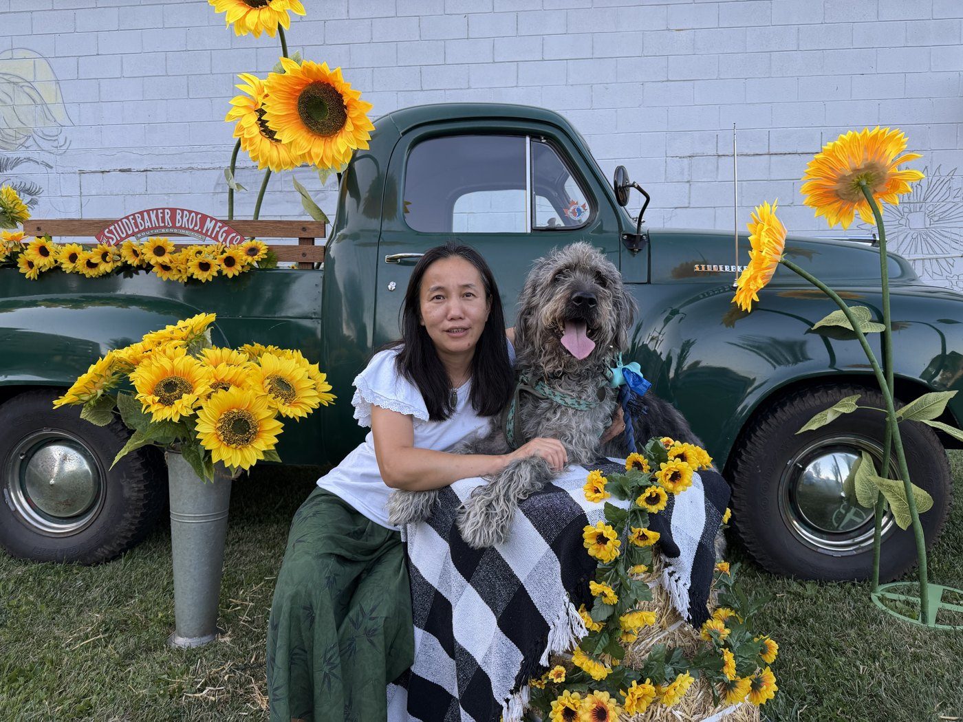 A visitor and her dog posing with sunflowers in front of a vintage green pickup truck